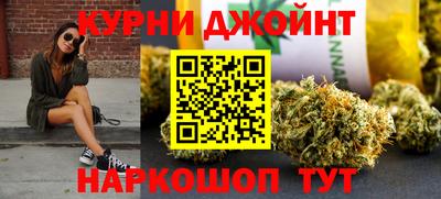 spice Кинель