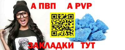 бошки Кингисепп