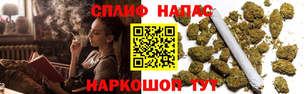 Конопля сатива  Вход с VPN  Крымск  Бошки марихуана планчик 